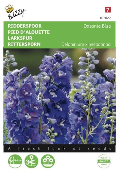 Ridderspoor Dasante Blue (Delphinium x belladonna) 20 zaden